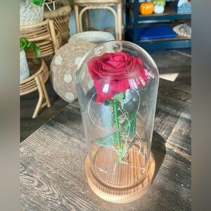 Beauty and the Beast Rose in Glass Dome with Enchanted Galaxy Light